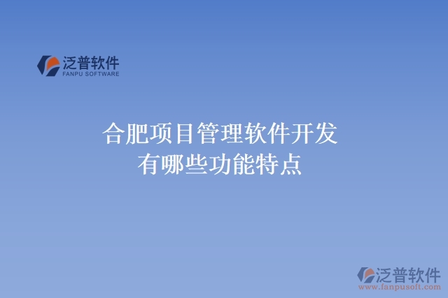 合肥項目管理軟件開發(fā)有哪些功能特點(diǎn)