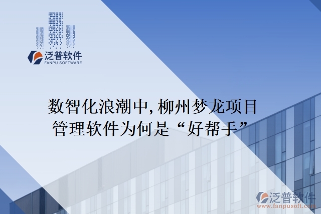 數智化浪潮中,柳州夢龍項目管理軟件為何是“好幫手”