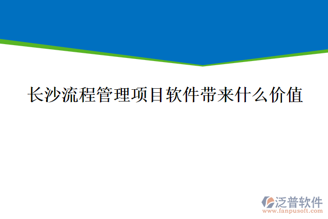 長沙流程管理項(xiàng)目軟件帶來什么價值