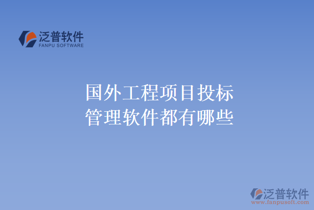 國外工程項(xiàng)目投標(biāo)管理軟件都有哪些