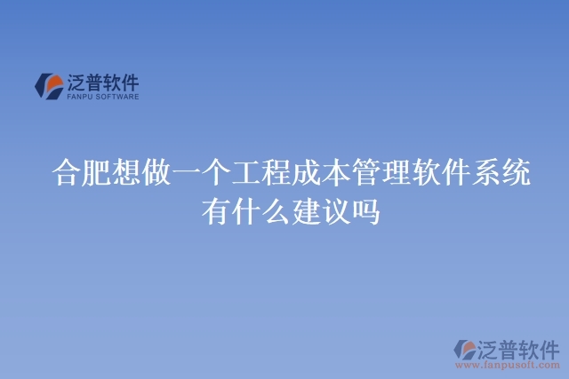 合肥想做一個工程成本管理軟件系統(tǒng)，有什么建議嗎