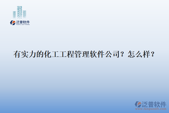 有實力的化工工程管理軟件公司？怎么樣？