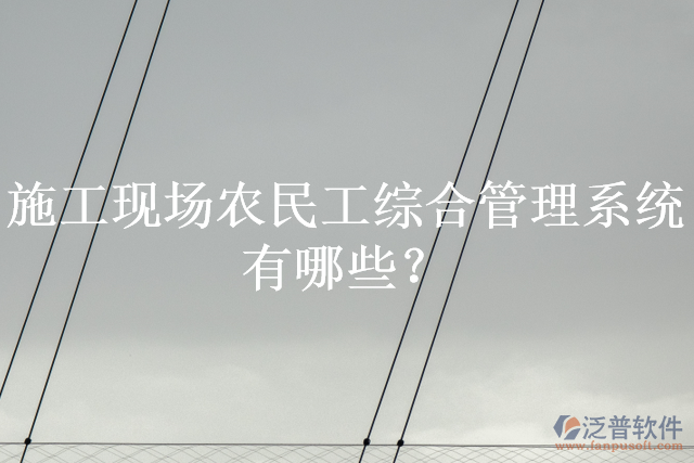 施工現(xiàn)場(chǎng)農(nóng)民工綜合管理系統(tǒng)有哪些？