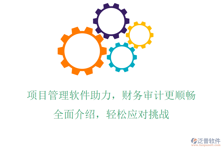 項(xiàng)目管理軟件助力，財(cái)務(wù)審計(jì)更順暢，全面介紹，輕松應(yīng)對(duì)挑戰(zhàn)