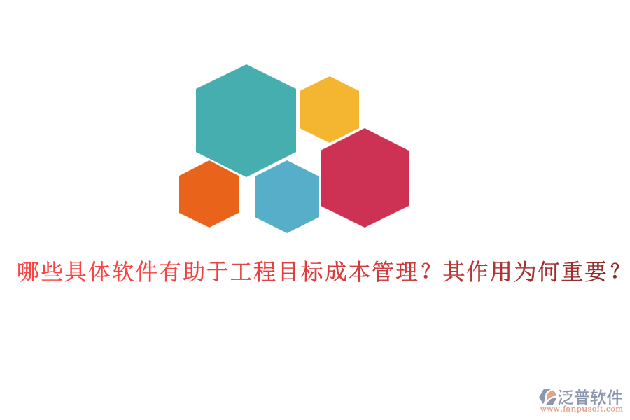 哪些具體軟件有助于工程目標成本管理？其作用為何重要？