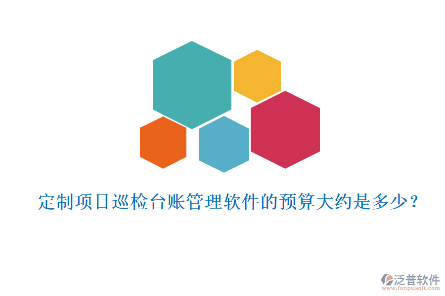 定制項(xiàng)目巡檢臺(tái)賬管理軟件的預(yù)算大約是多少？