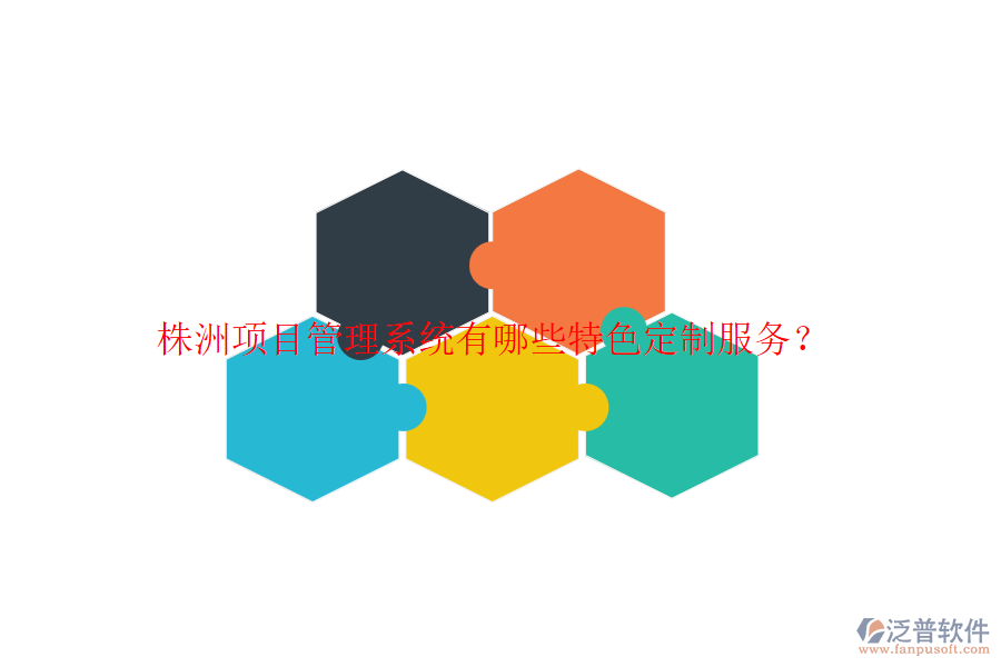 株洲項目管理系統(tǒng)有哪些特色定制服務(wù)？