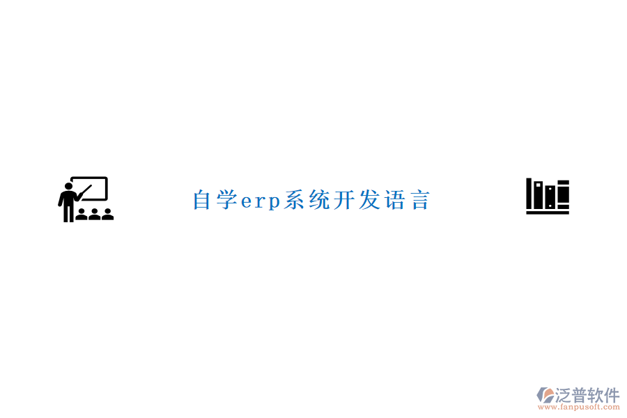 自學erp系統(tǒng)開發(fā)語言