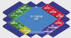 sap財(cái)務(wù)軟件的表設(shè)計(jì)通常給出兩種建議方案