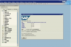 sap財(cái)務(wù)軟件的應(yīng)用有哪些？