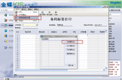 金蝶KIS商貿(mào)版打印問(wèn)題？
