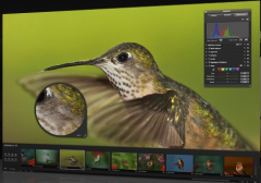 照片管理軟件的一些特點(diǎn)