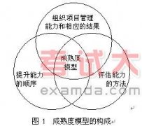 項目管理成熟度模型