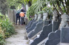 清明前首個小高峰 約1000萬人去祭掃，大堵車不可避免